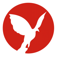 Dove Digital